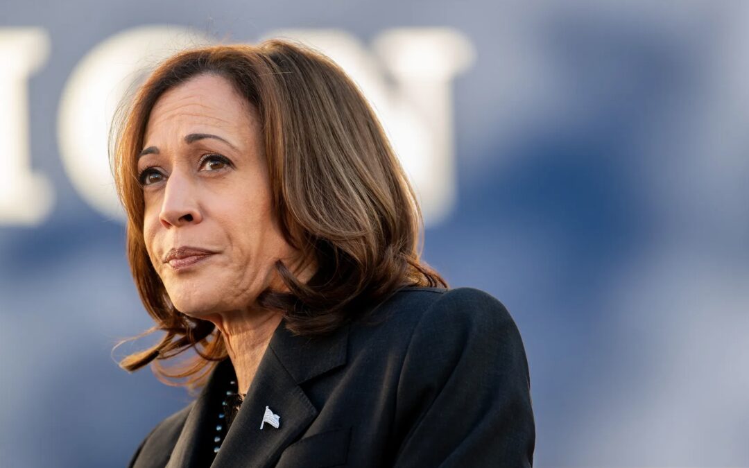 Local Lawmakers See Potential Challenges With Harris’ Housing Plan