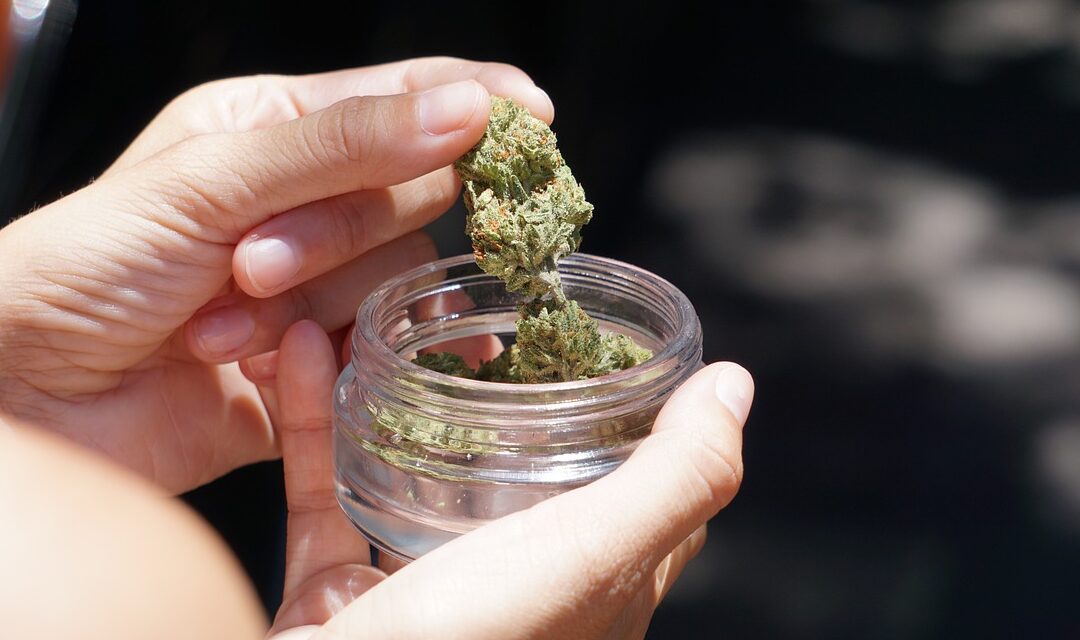 Virginia Democrats Look to Fast-Track Cannabis Overhaul as New Session Begins